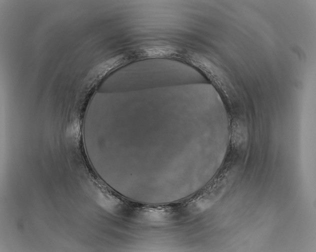 X0000111800405200908201157