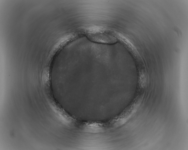 X0000111800407200908201157