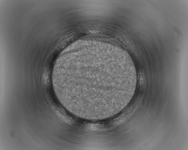 X0000111800408200908201157