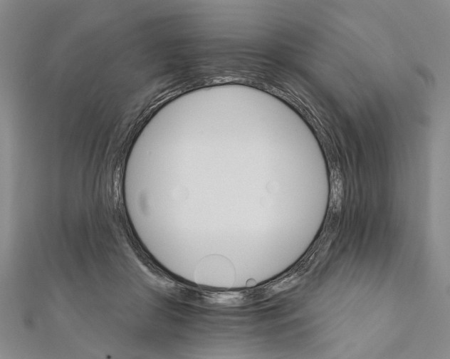 X0000111800410200908201157