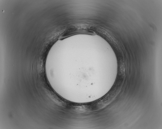 X0000111800411200908201157