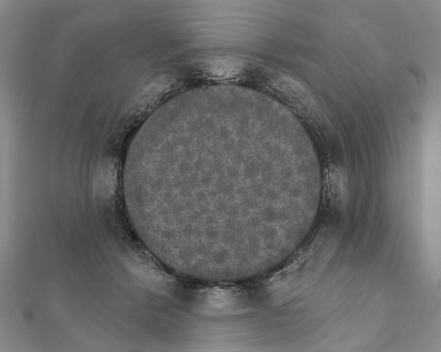 X0000111800412200908201157