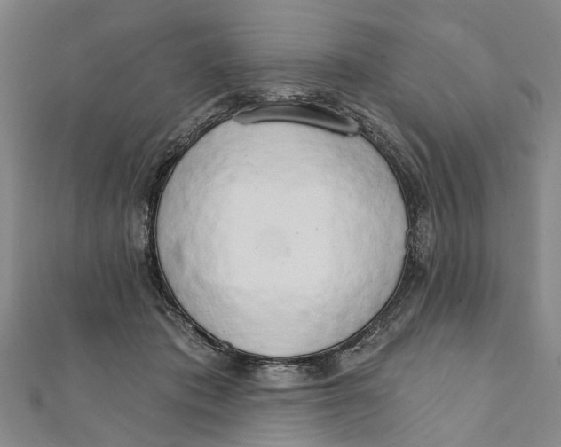 X0000111800413200908201157