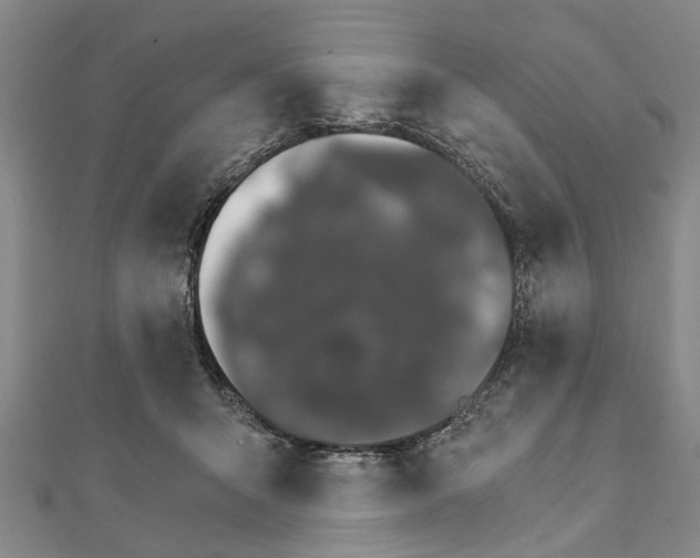 X0000111800415200908201157