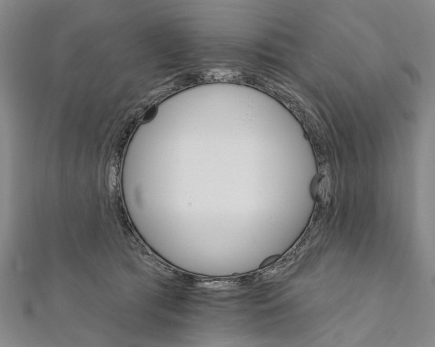 X0000111800417200908201157