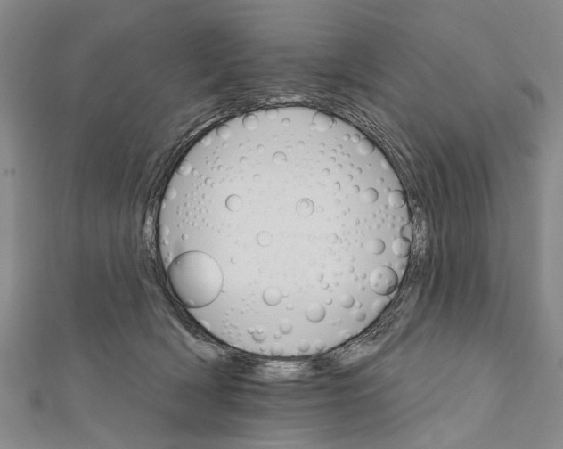 X0000111800418200908201157