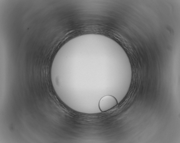X0000111800421200908201157