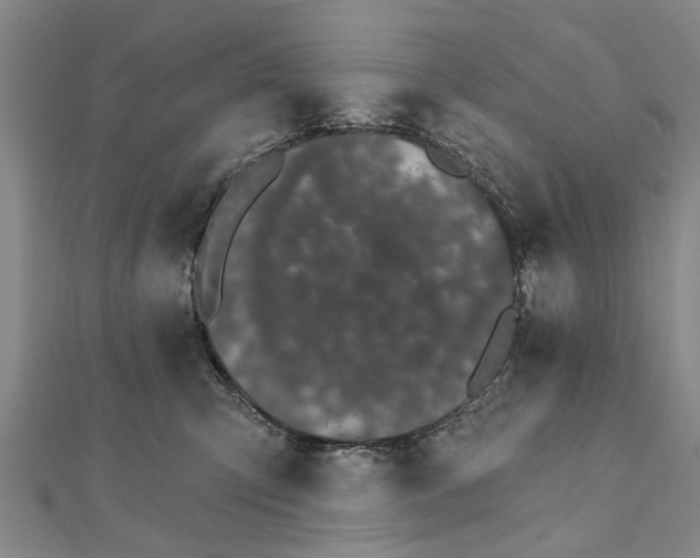 X0000111800423200908201157
