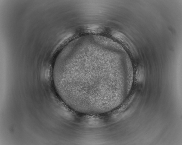X0000111800424200908201157