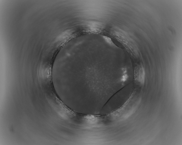 X0000111800425200908201157