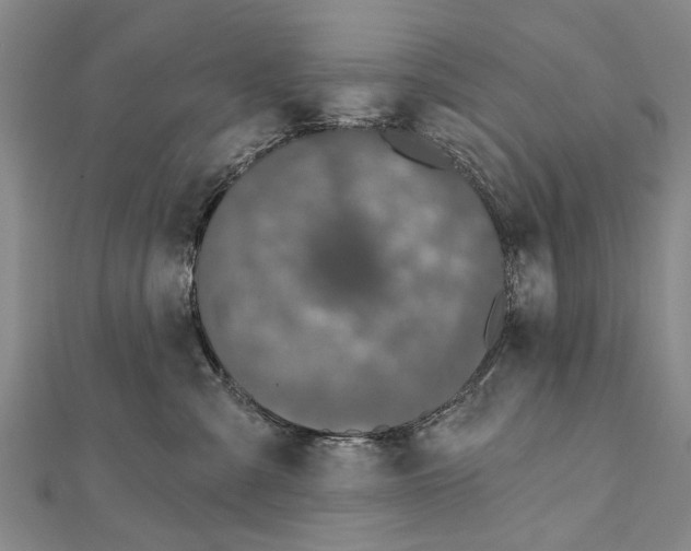 X0000111800427200908201157