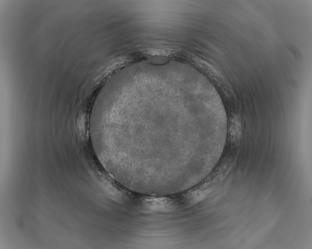 X0000111800428200908201157