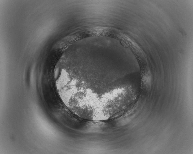 X0000111800429200908201157