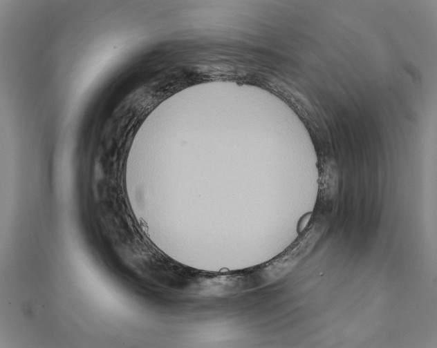 X0000111800430200908201157