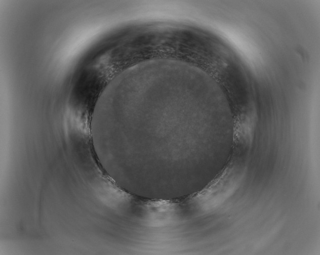 X0000111800431200908201157