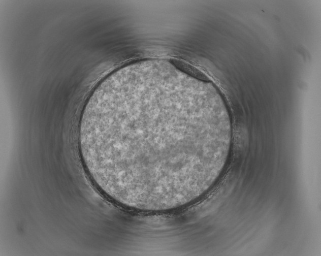 X0000111800433200908201156