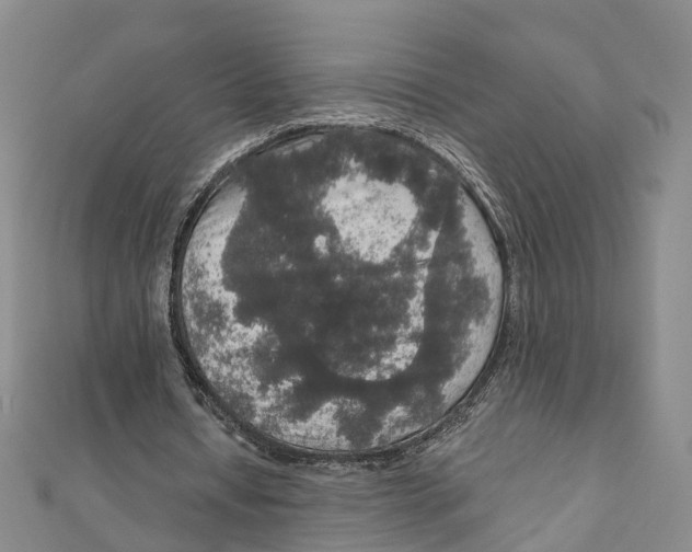 X0000111800434200908201156