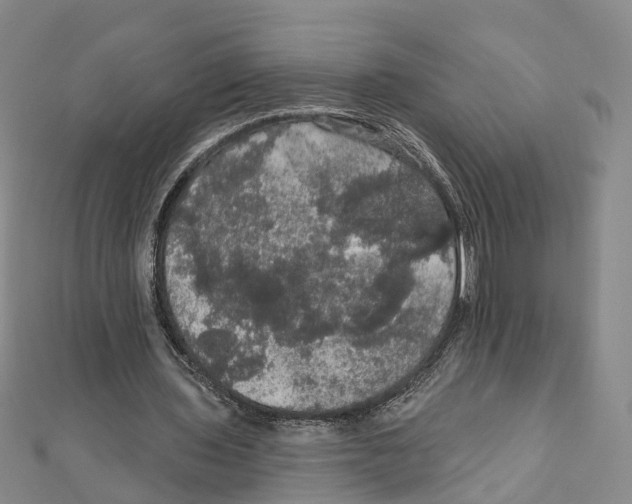 X0000111800435200908201156