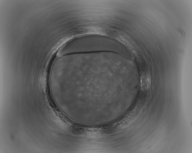 X0000111800436200908201157