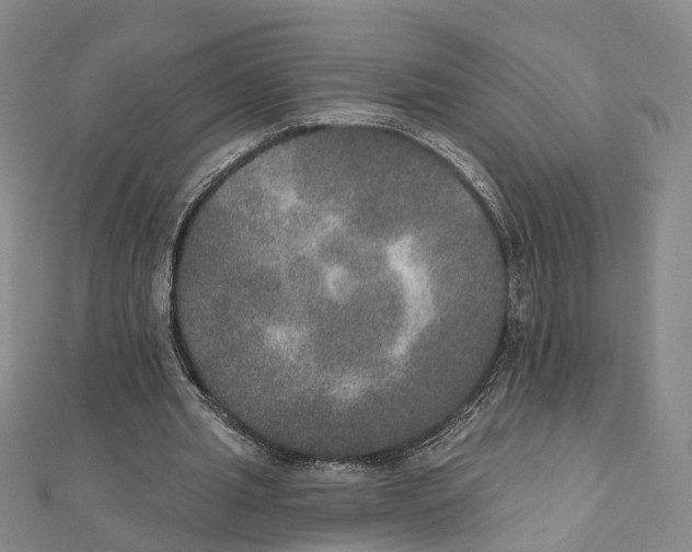 X0000111800437200908201157