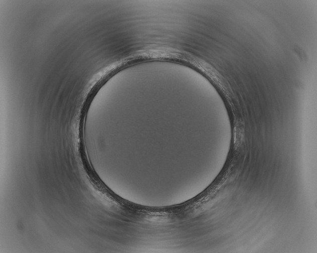 X0000111800438200908201157