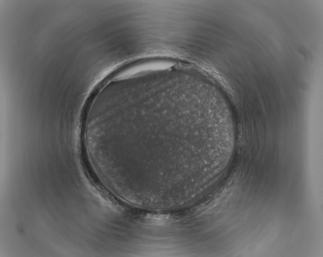 X0000111800440200908201157