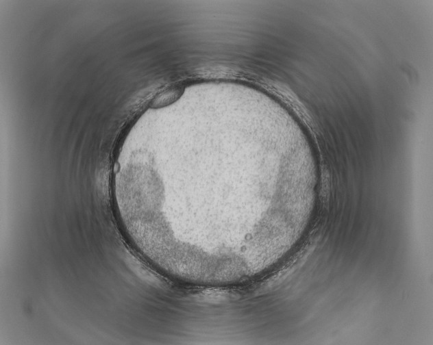 X0000111800441200908201157