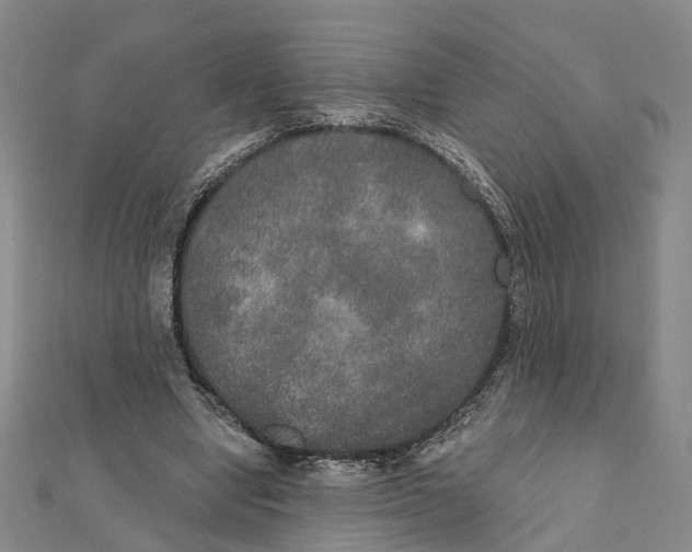 X0000111800442200908201157