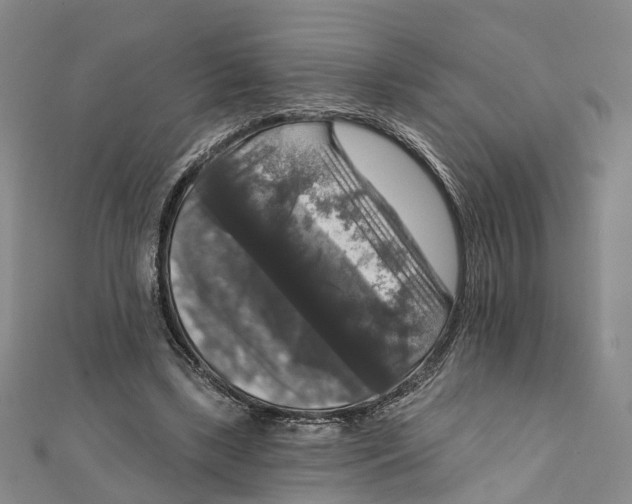 X0000111800443200908201157