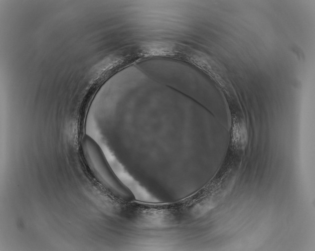 X0000111800444200908201157
