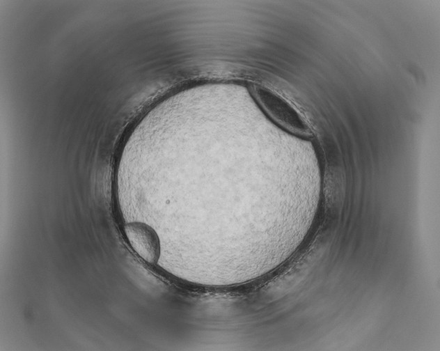 X0000111800445200908201157