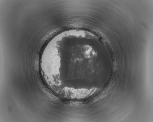 X0000111800446200908201157