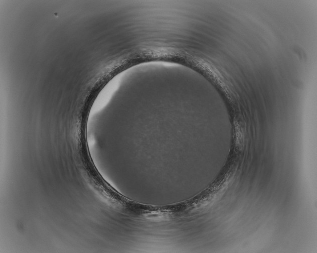 X0000111800447200908201157