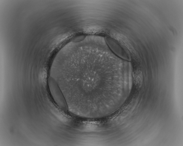 X0000111800448200908201157