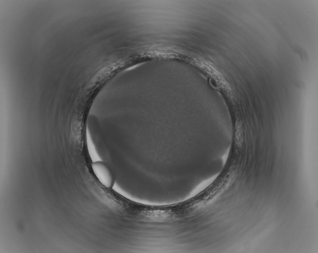 X0000111800449200908201157