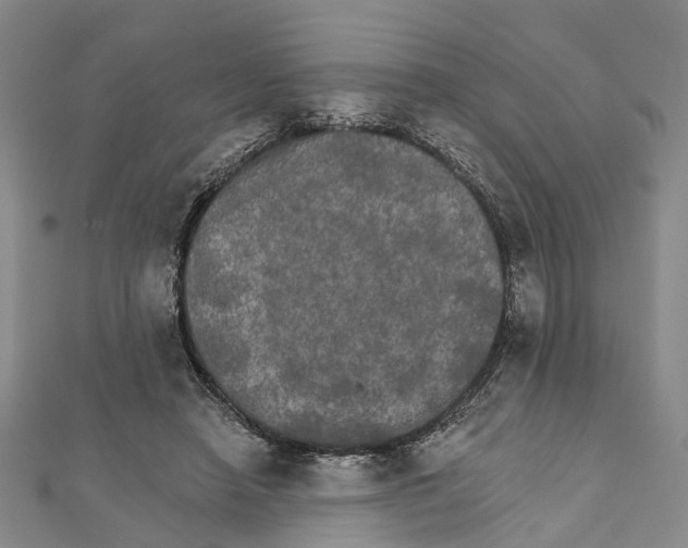 X0000111800450200908201157