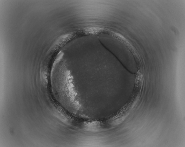 X0000111800452200908201157