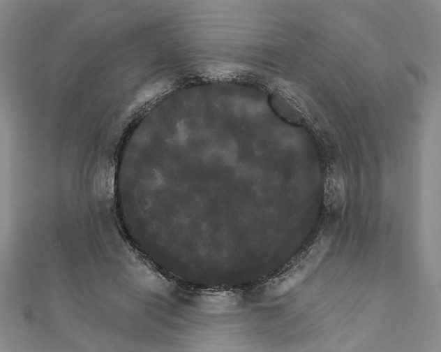 X0000111800454200908201157