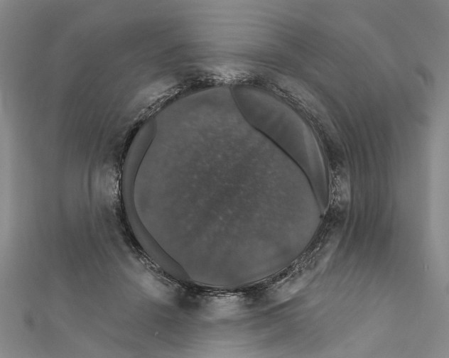 X0000111800456200908201157