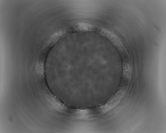 X0000111800457200908201157