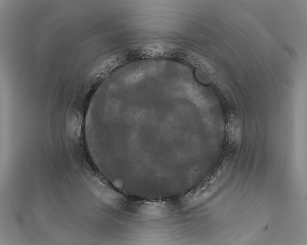X0000111800458200908201157