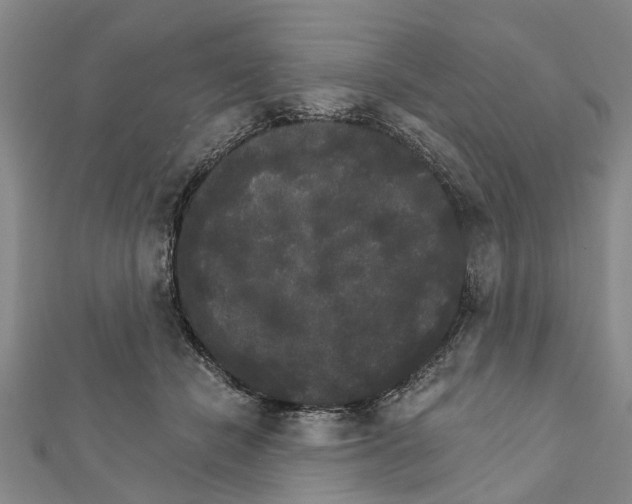 X0000111800462200908201157