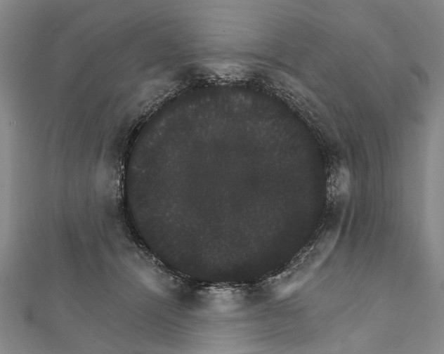 X0000111800464200908201157
