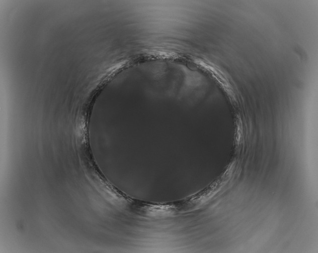 X0000111800465200908201157