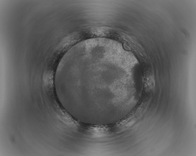X0000111800466200908201157