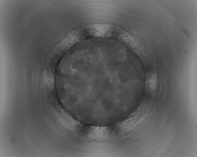 X0000111800469200908201157