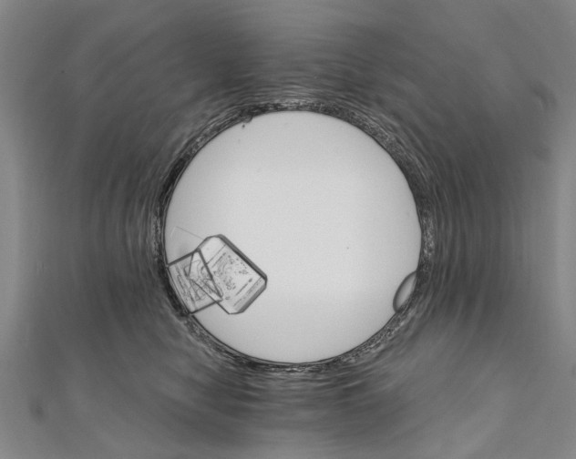 X0000111800470200908201157