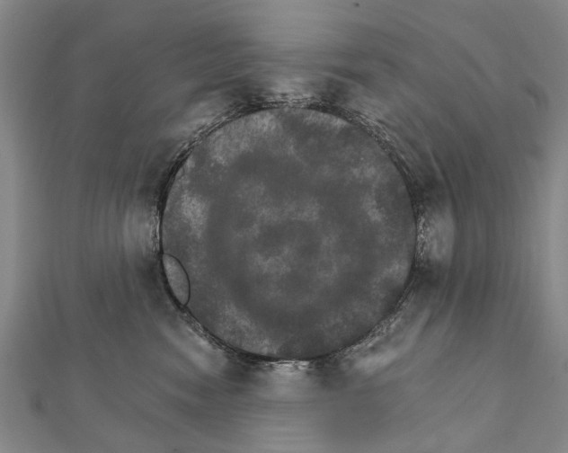 X0000111800474200908201157