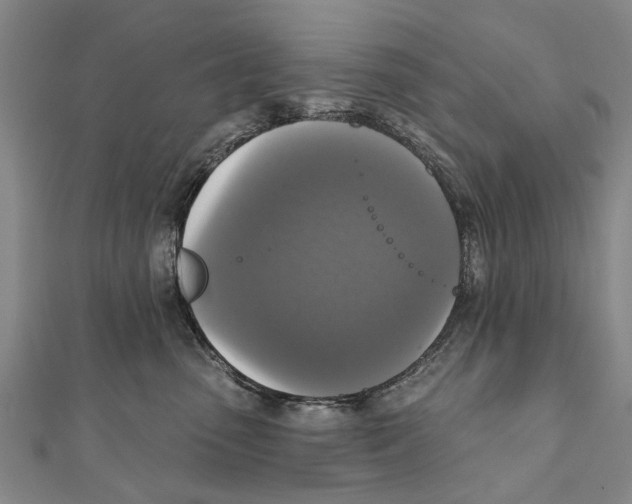 X0000111800475200908201157