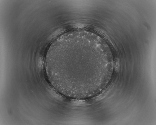 X0000111800476200908201157